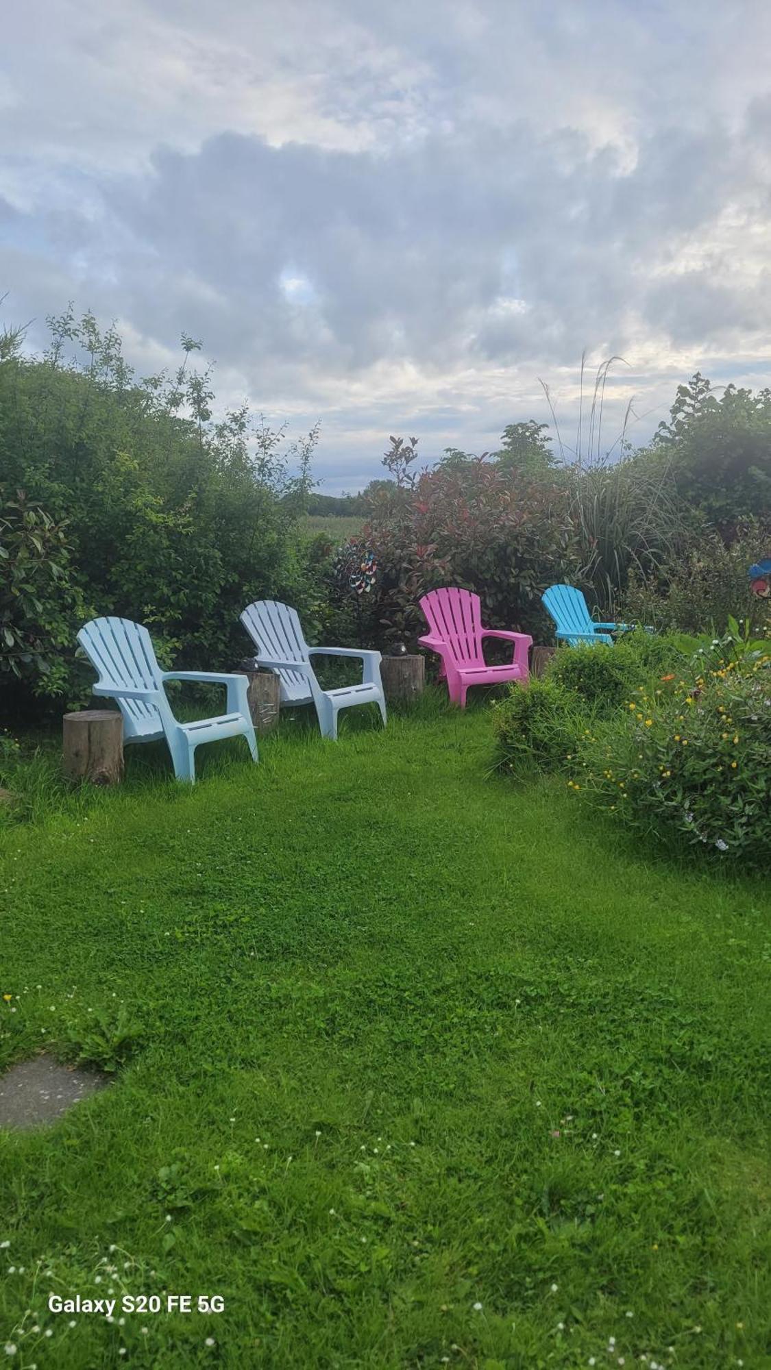 Ferienwohnung Salmon Island View Dromineer Exterior foto